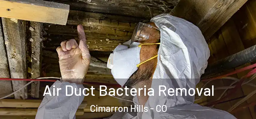 Air Duct Bacteria Removal Cimarron Hills - CO