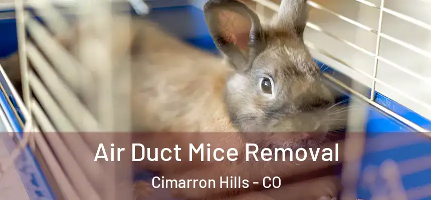  Air Duct Mice Removal Cimarron Hills - CO