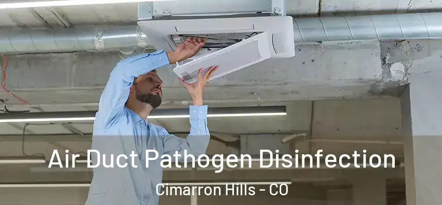  Air Duct Pathogen Disinfection Cimarron Hills - CO