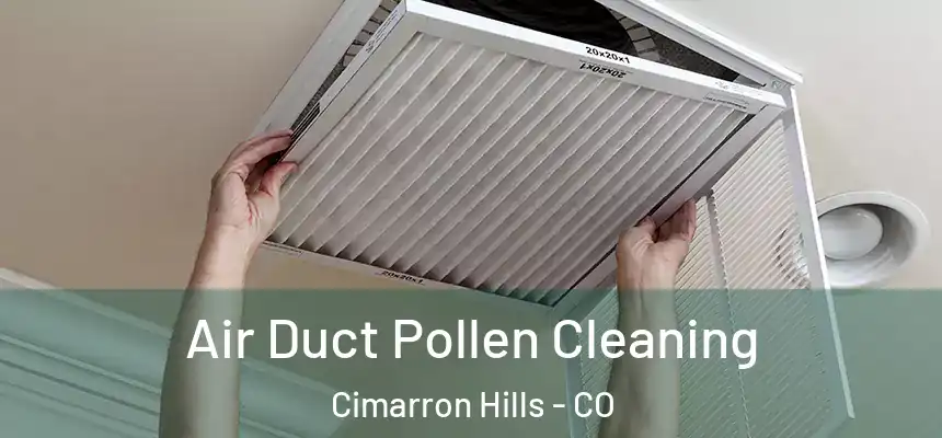  Air Duct Pollen Cleaning Cimarron Hills - CO