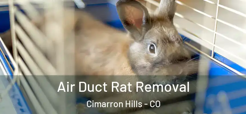  Air Duct Rat Removal Cimarron Hills - CO