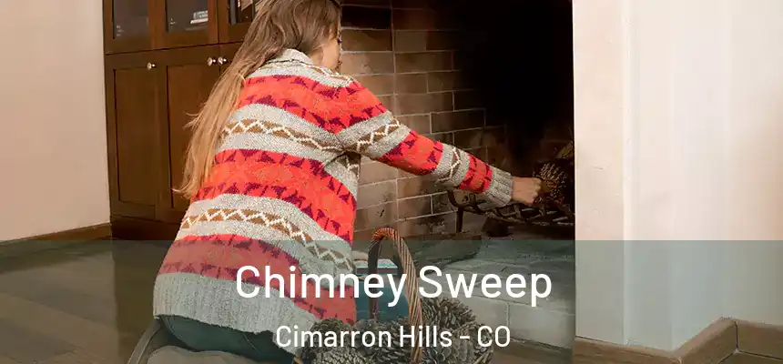  Chimney Sweep Cimarron Hills - CO
