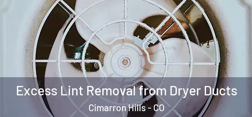 Excess Lint Removal from Dryer Ducts Cimarron Hills - CO