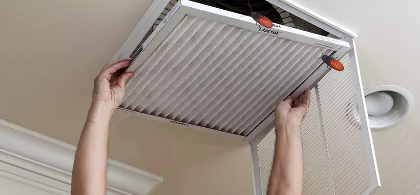 Preventive Cockroach-Proofing for Ducts in Cimarron Hills