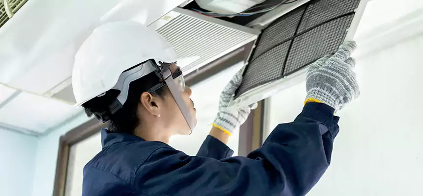 Our Mold & Mildew Removal from Air Ducts Services in Cimarron Hills, CO