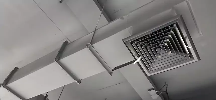 Our Rodent Droppings In Vents Services in Cimarron Hills, CO