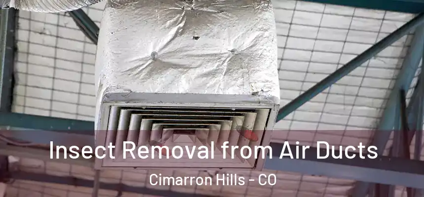  Insect Removal from Air Ducts Cimarron Hills - CO