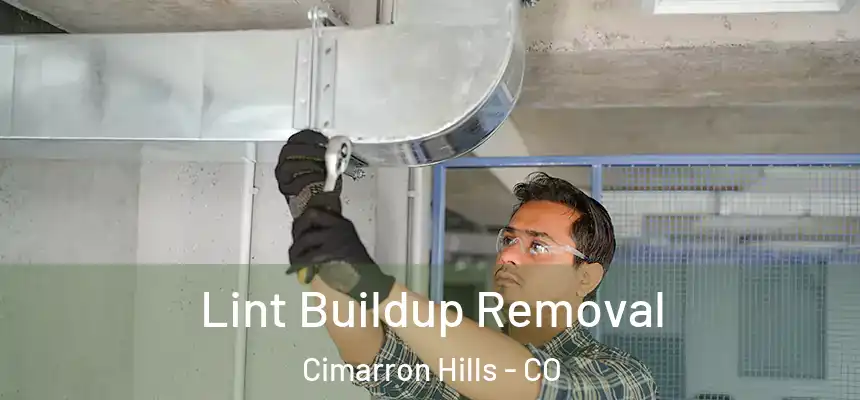  Lint Buildup Removal Cimarron Hills - CO