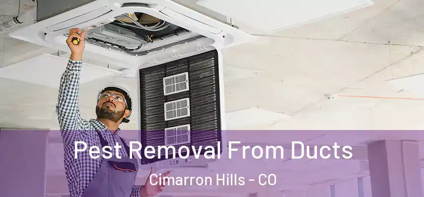  Pest Removal From Ducts Cimarron Hills - CO