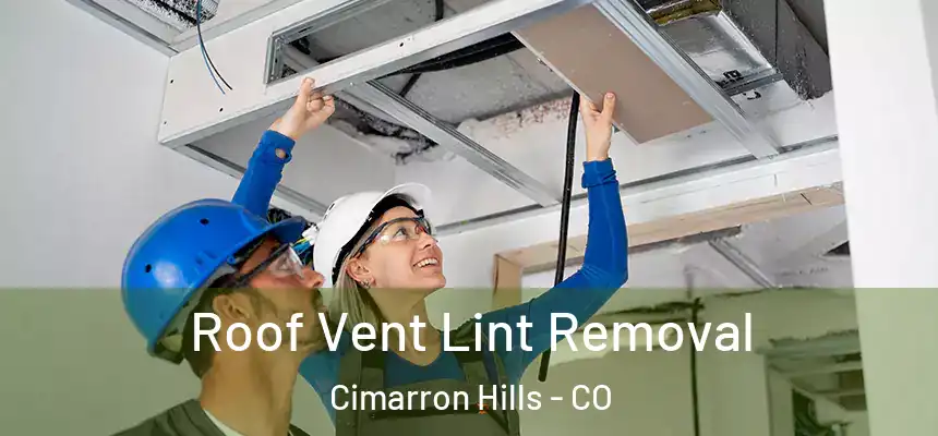  Roof Vent Lint Removal Cimarron Hills - CO