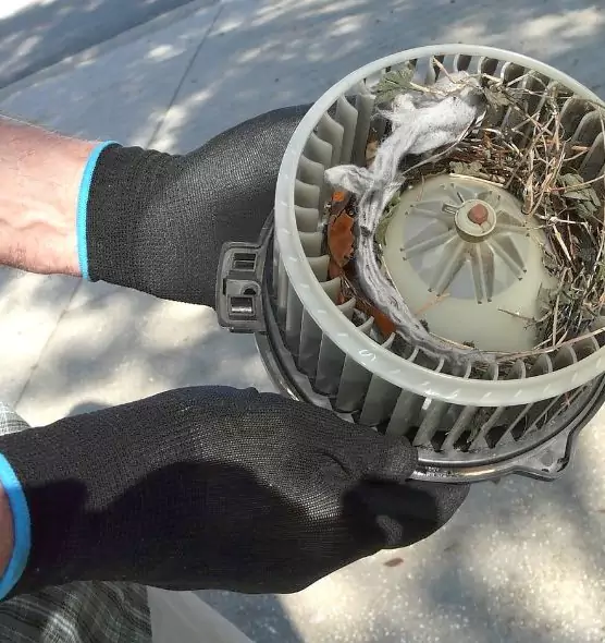 About Air Duct Mice Removal in Cimarron Hills, CO