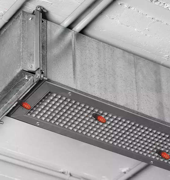 Affordable Insect Removal from Air Ducts in Cimarron Hills, CO