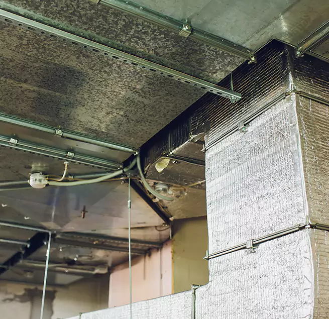 Why Homeowners & Businesses Trust Us in Cimarron Hills, CO?